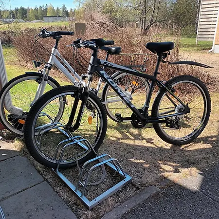 Puistokatti